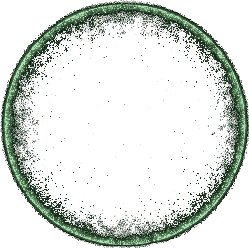 rotating neon ring